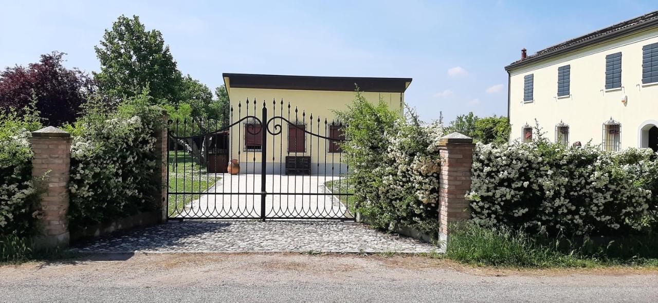 B&B Armonie Cotignola Εξωτερικό φωτογραφία