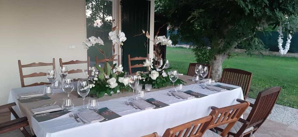 B&B Armonie Cotignola Εξωτερικό φωτογραφία